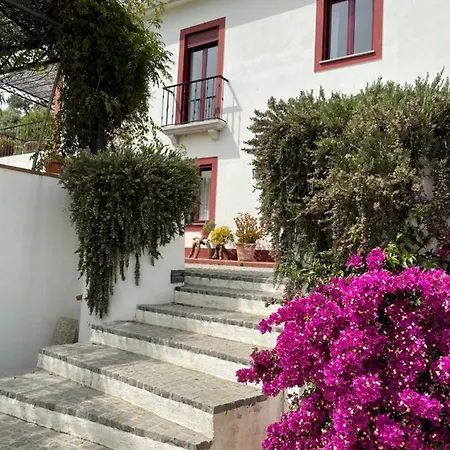 Quinta Da Asneira Apartment Montemor-o-Novo Exterior photo