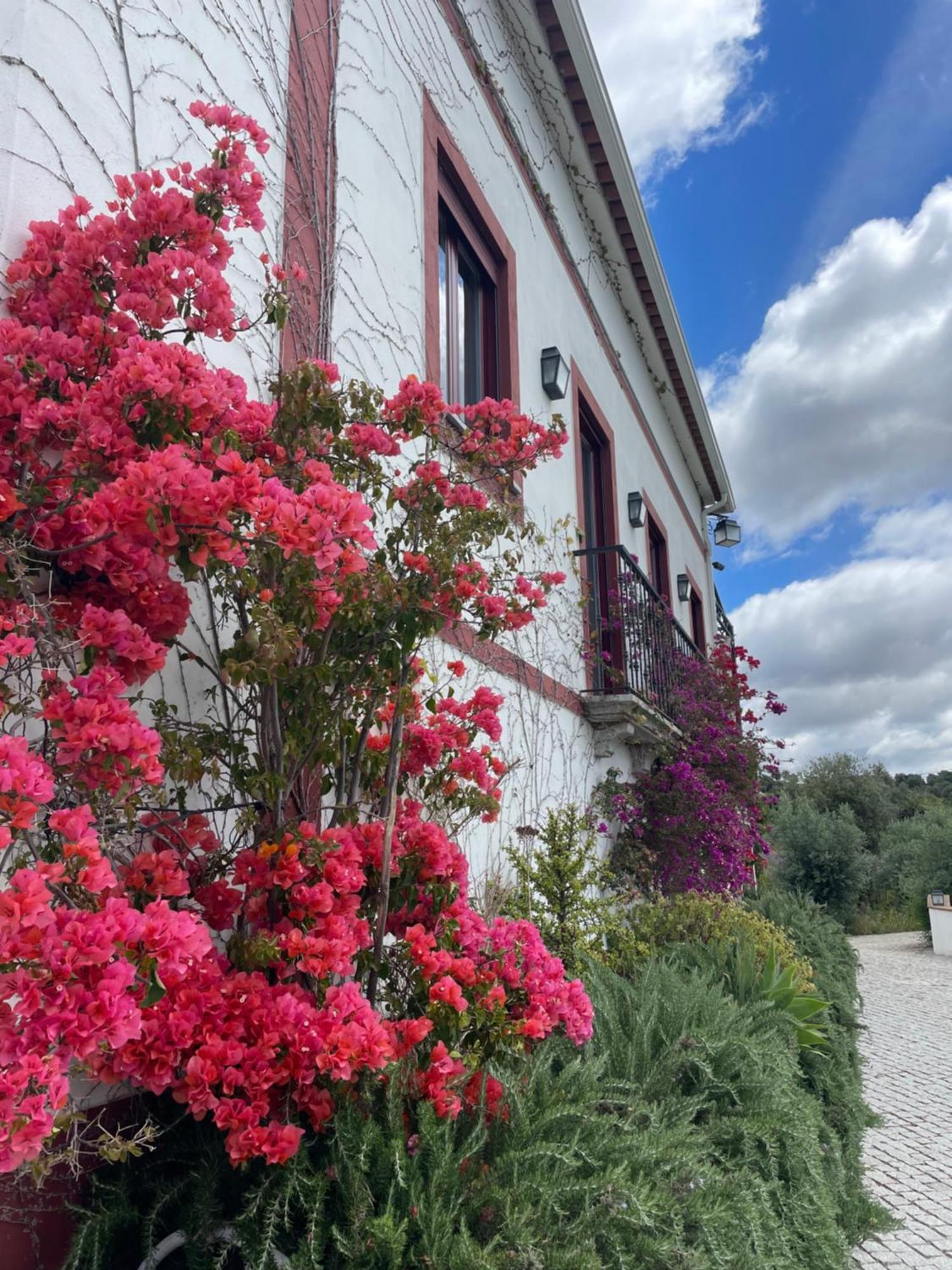 Quinta Da Asneira