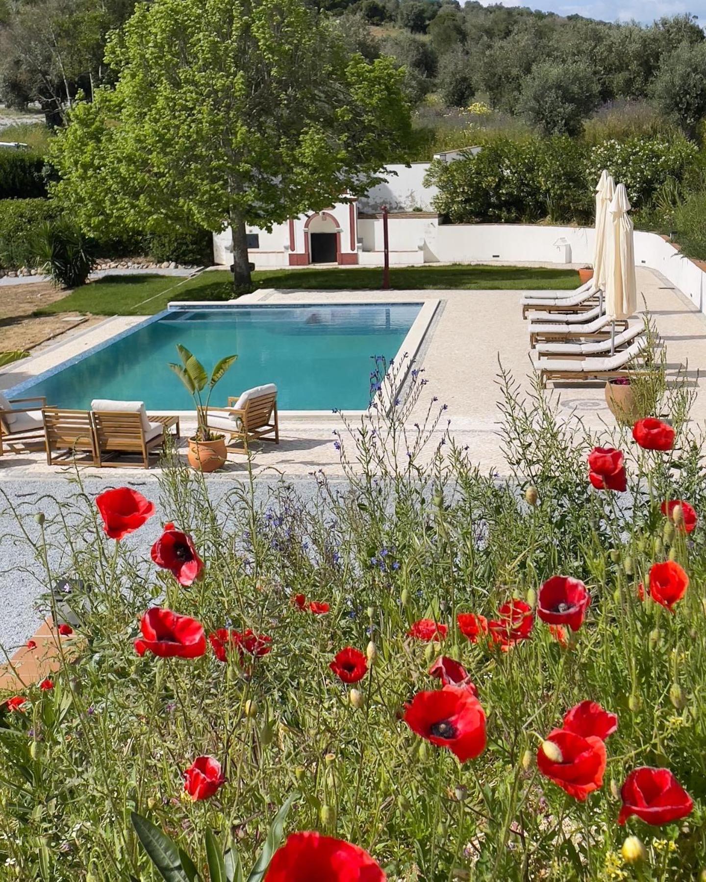 Apartment Quinta Da Asneira Montemor-o-Novo