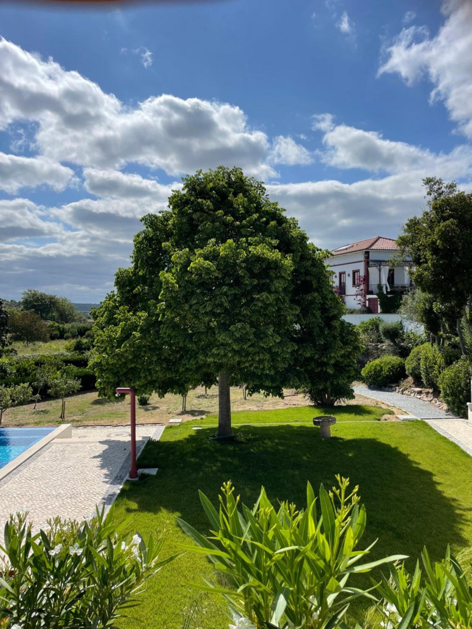 Quinta Da Asneira Apartment Montemor-o-Novo